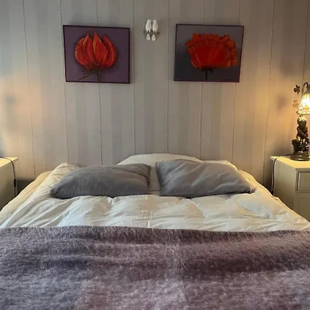 Rovavisit Grand ヴィラ ロヴァニエミ